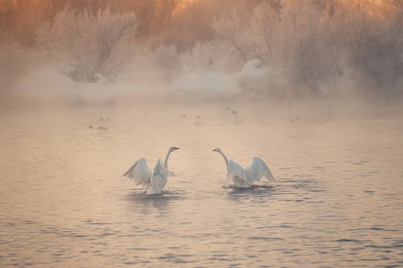 В закатный час фото превью