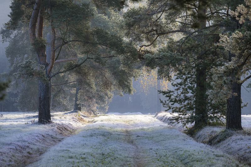 В царстве инея фото превью