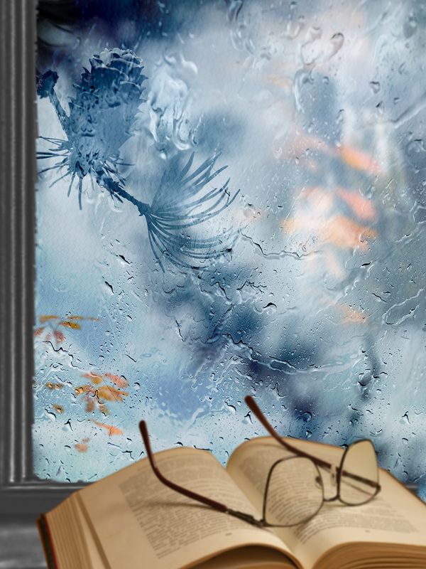 Дождь за окном фото превью