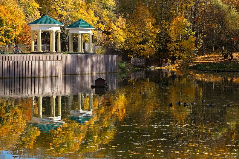 осень, парк, отражение, краски осени, пейзаж Осень, октябрь фото превью