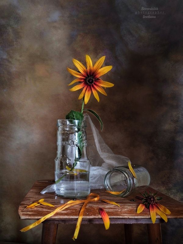 натюрморт, art_photo,  стекло, цветы, фото  у окна, фото с полиэтиленом, фото на телефон Рудбекия фото превью