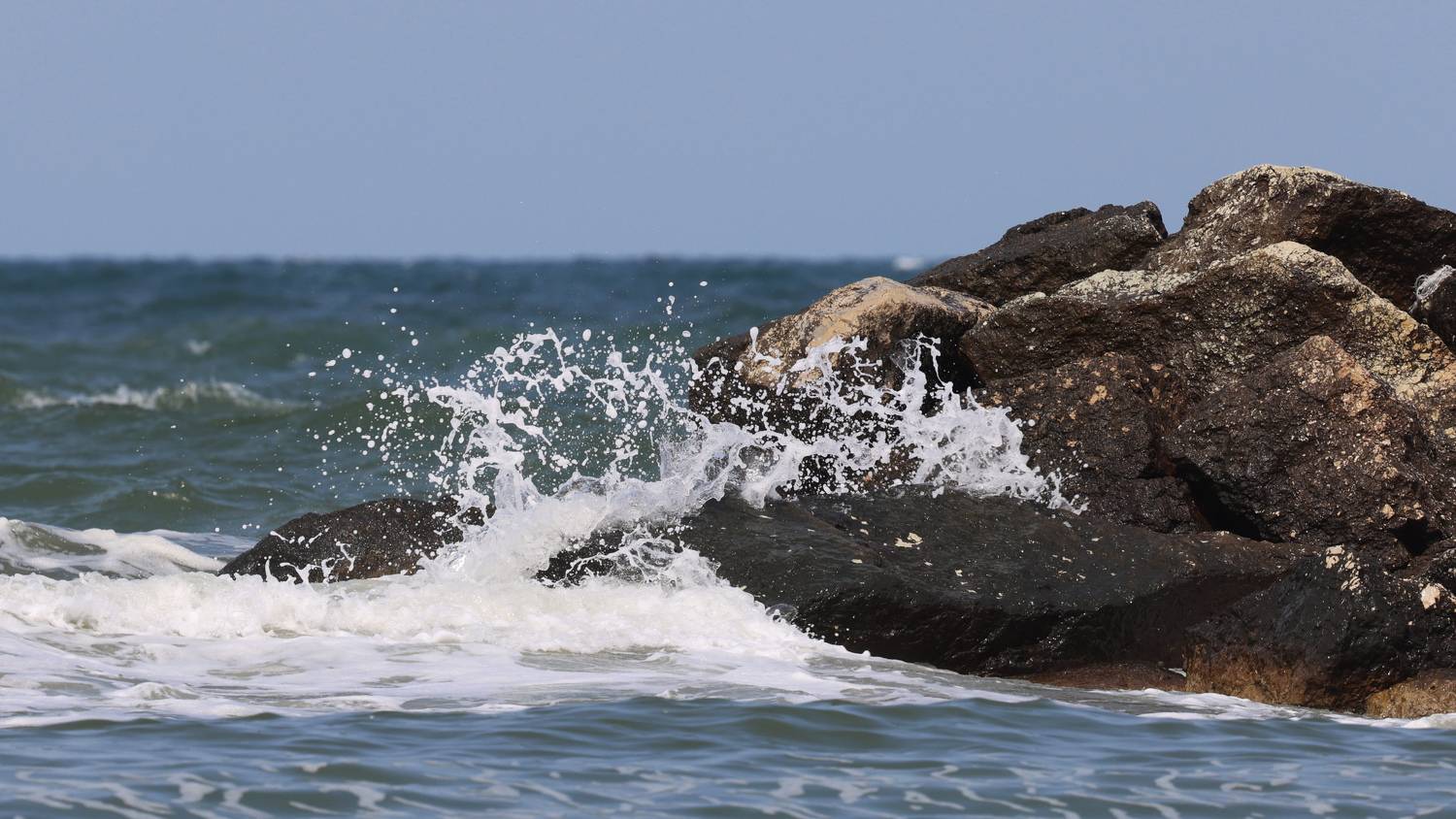 , Александр Шандов