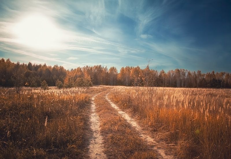 Осень жизни.. фото превью