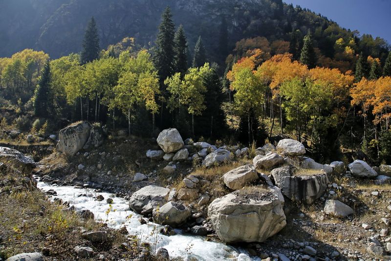 Правый Талгар фото превью