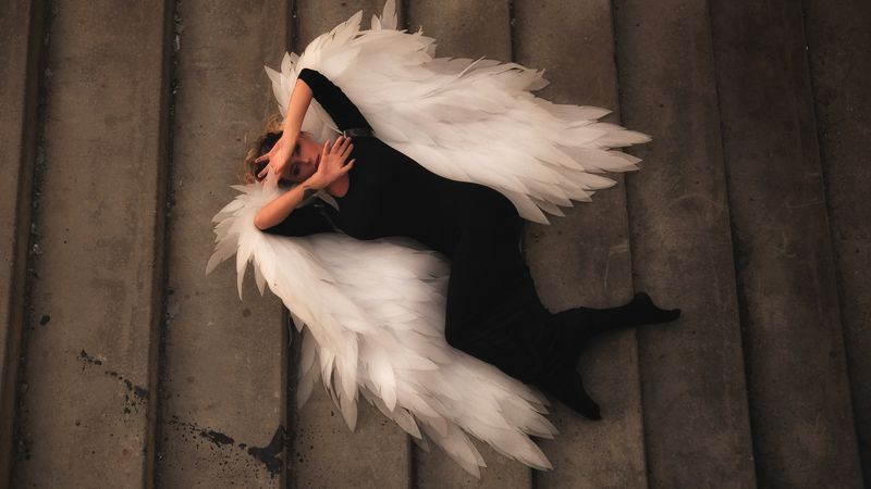 Wing фото превью