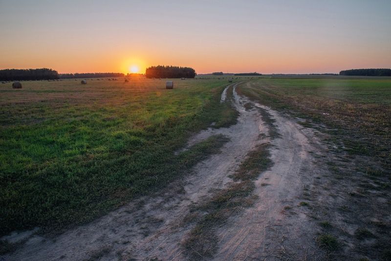 поле фото превью