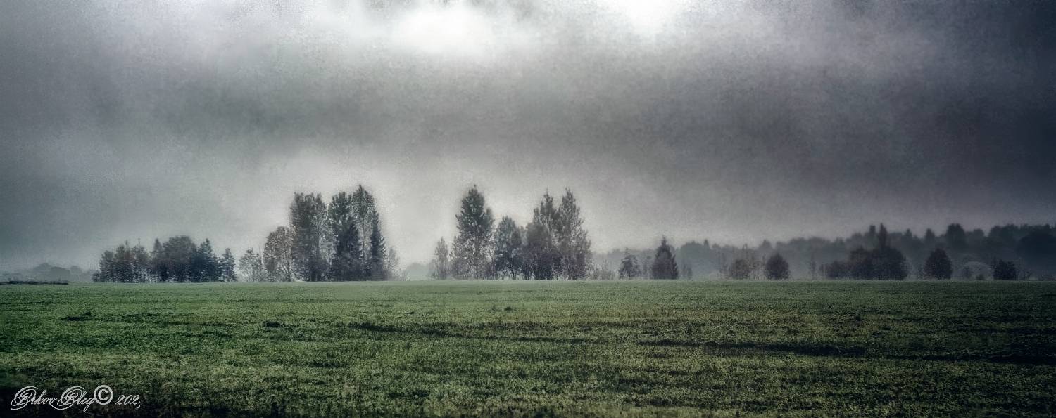 , Олег Орлов