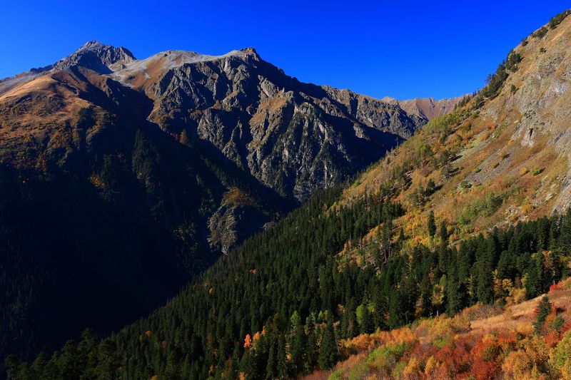 домбай, кчр, теберда, горы  фото превью