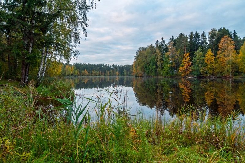 Осеннее утро фото превью