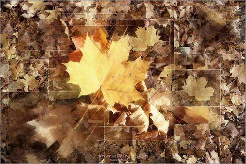 Осенний калейдоскоп