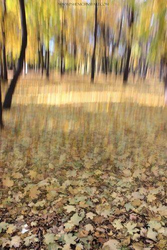 Осенний листопад