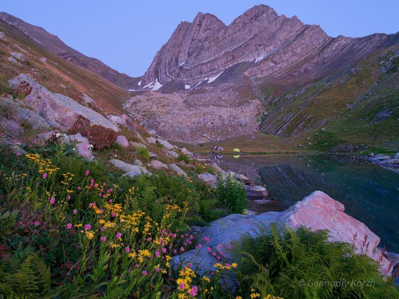 фото превью