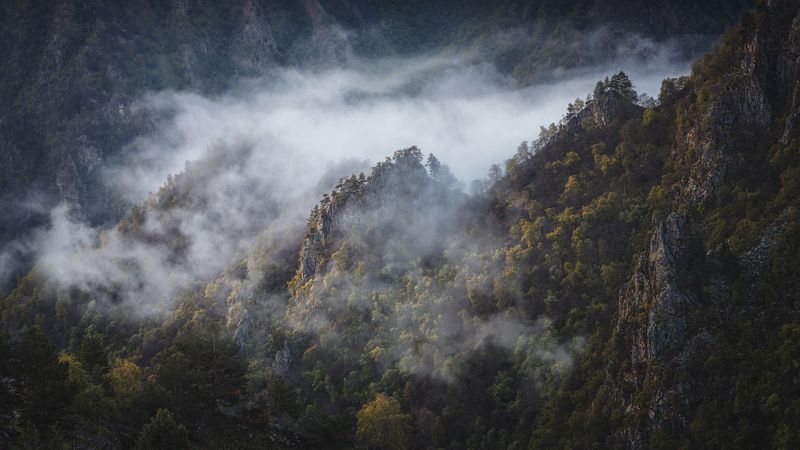 пейзаж, рассвет, горы, туман, облака, кавказ, канжол, приэльбрусье Над облаками фото превью