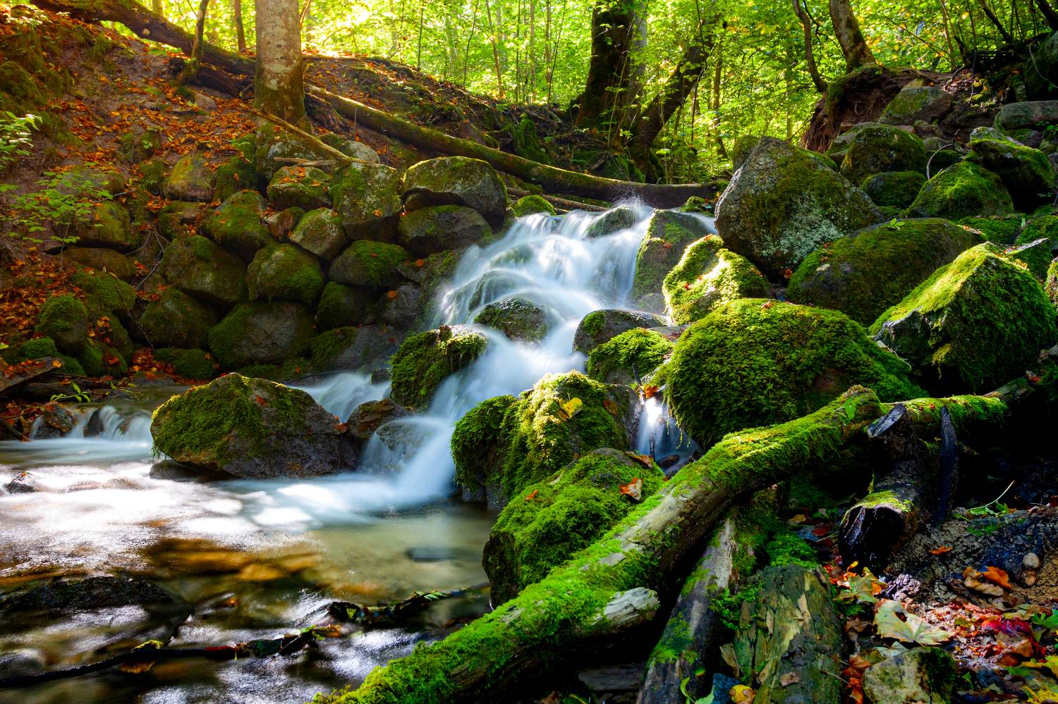 , Сергей Савельев