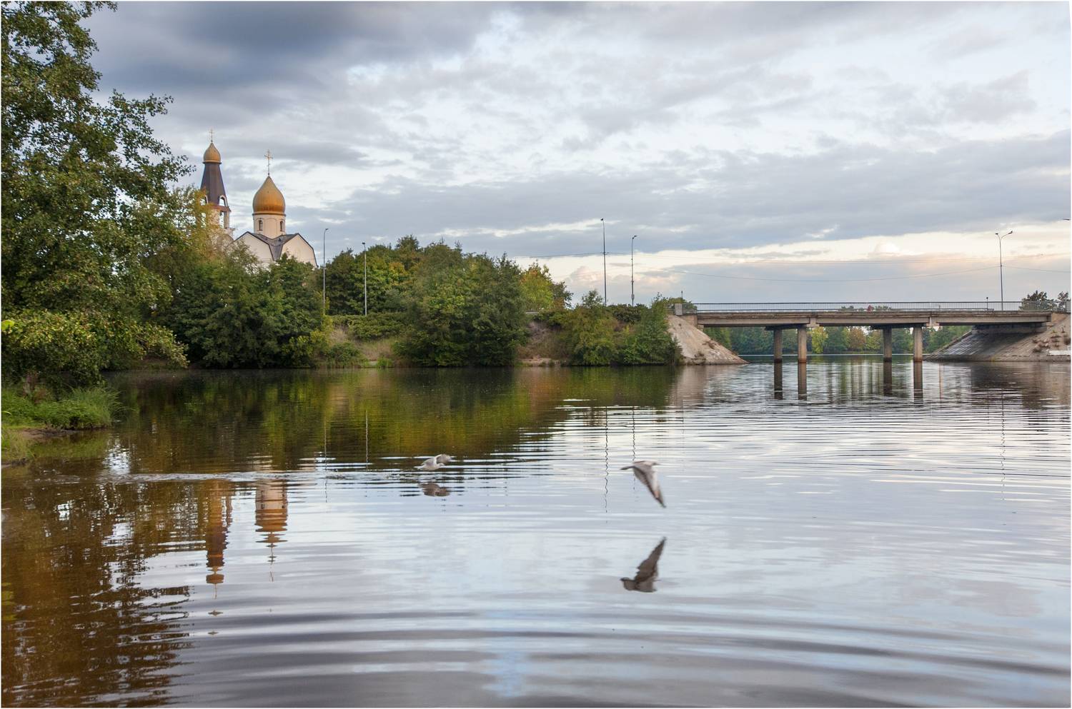 , Георгий Сапожников