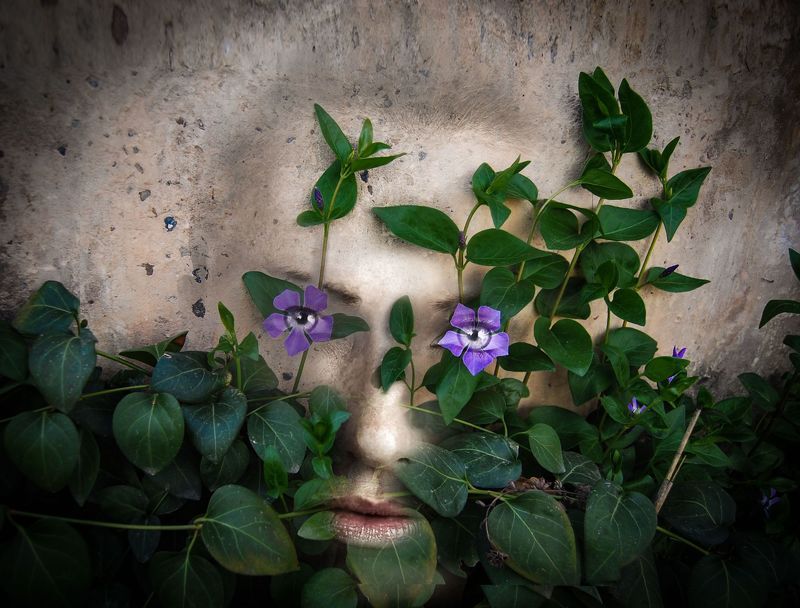 фото превью