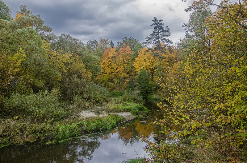 Осень на реке Снежеть фото превью