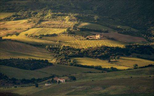 Этот яркий свет...