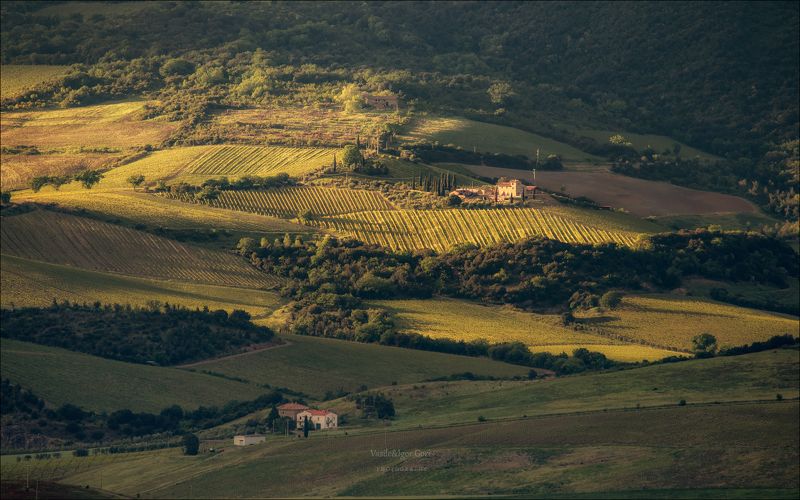 italy, montegiovi,italia,свет,италия,тоскана,кипарис,toscana,весна,tuscany,cipressi,belvedere,пьенца,тени,rural Этот яркий свет... фото превью