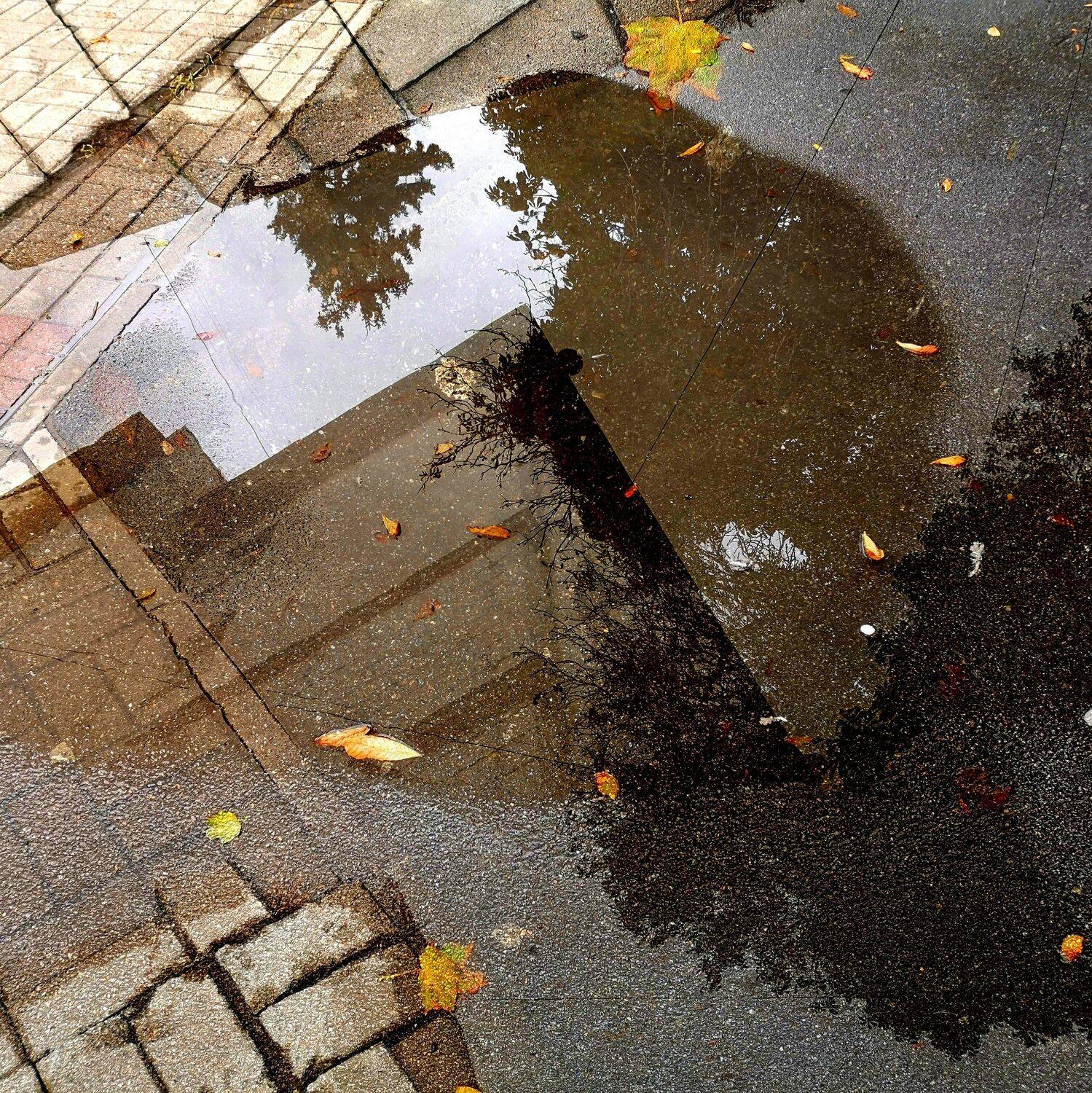 , Антон Лаба