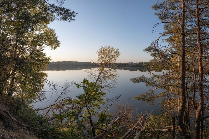 Утро в Сосновке фото превью