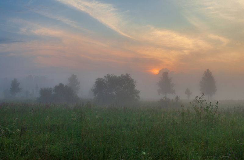 Летний туман. фото превью
