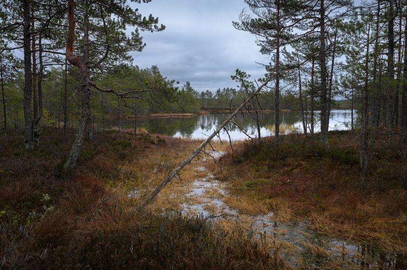 Карельский перешеек фото превью
