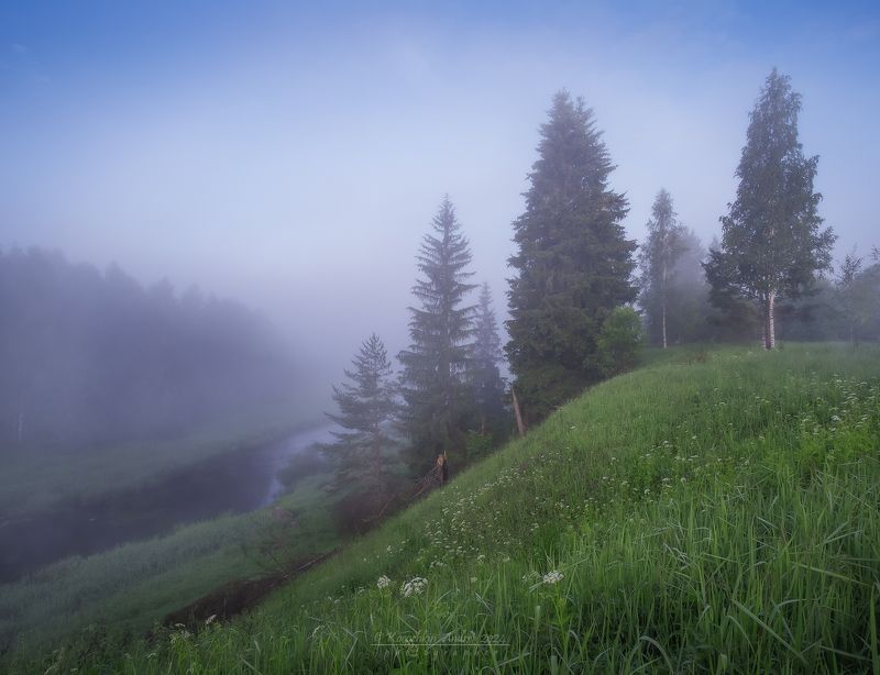 ... в царстве тумана ... фото превью