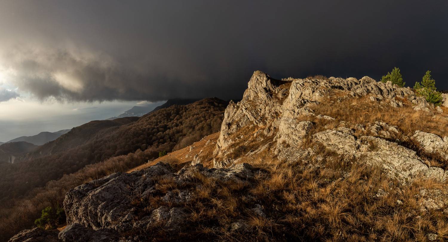 , Андрей Гусаченко