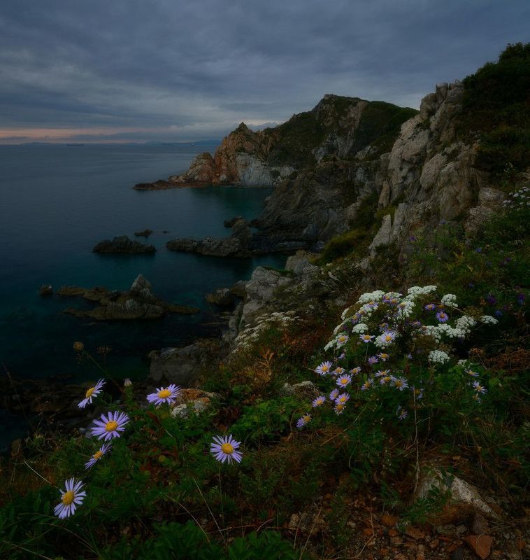 приморье Мыс Пассека. фото превью