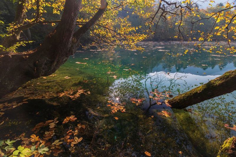 Отражения фото превью