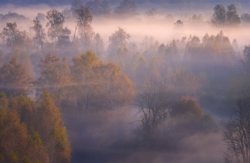 Туманы осени фото превью