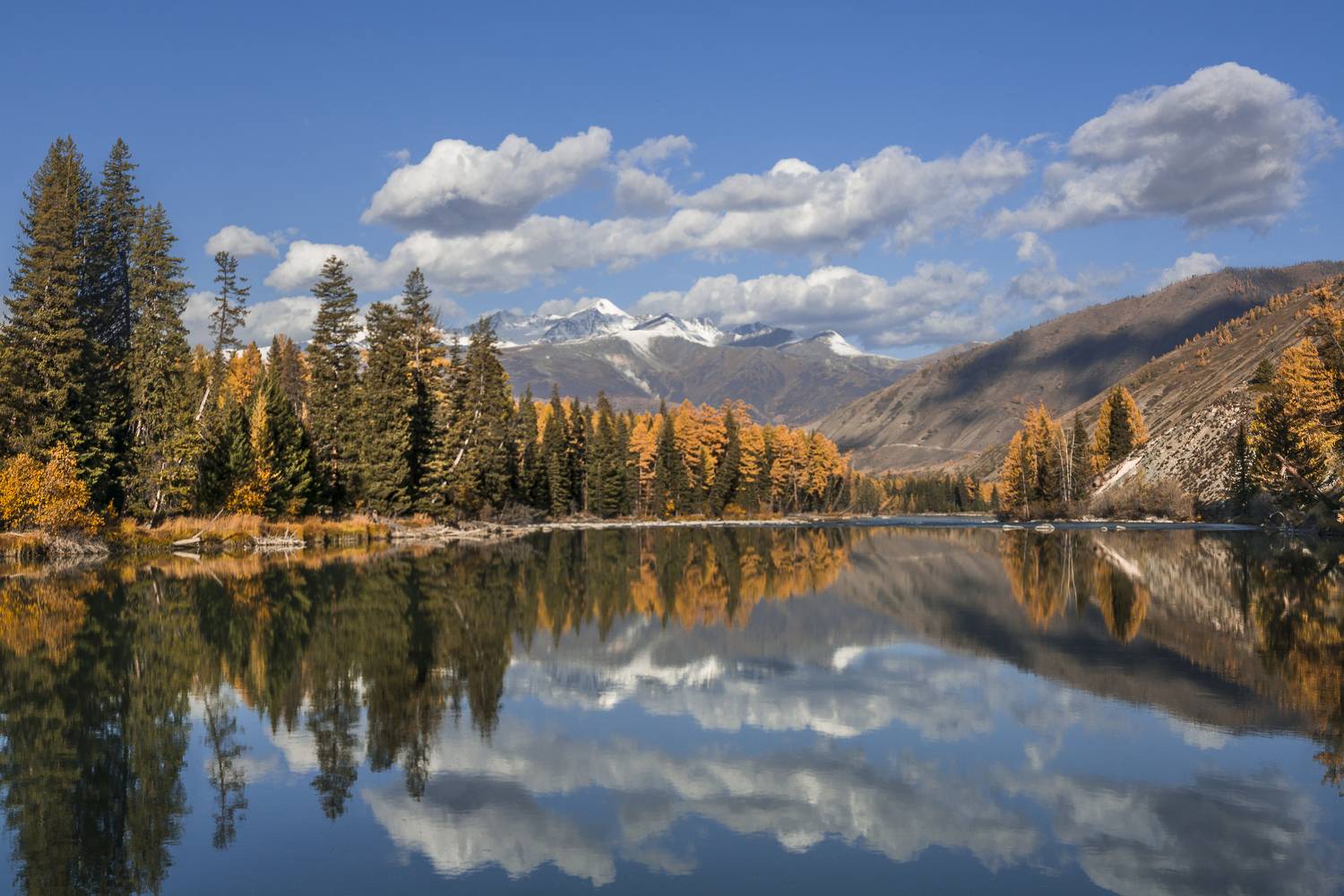 россия, горный алтай,горная река, отражение,водная гладь,утро,осень, Андрей Поляков