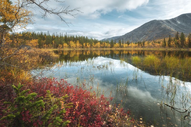 кольский, хибины Осень в Хибинах фото превью