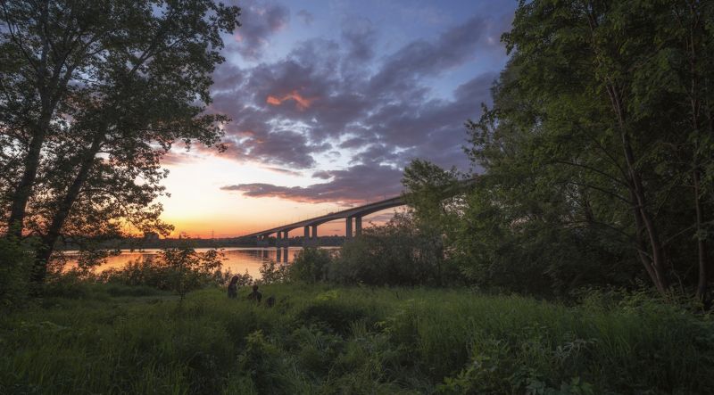 закат берег реки мост деревья Провожая день фото превью