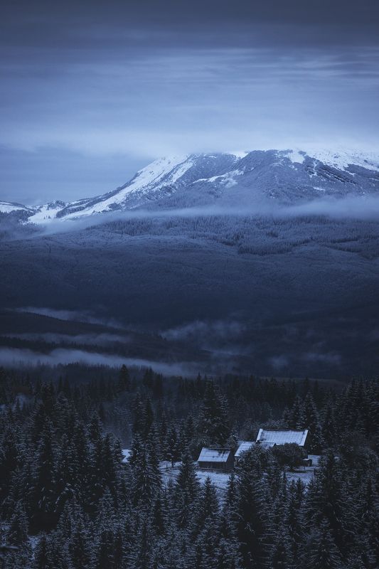 Gogodz фото превью