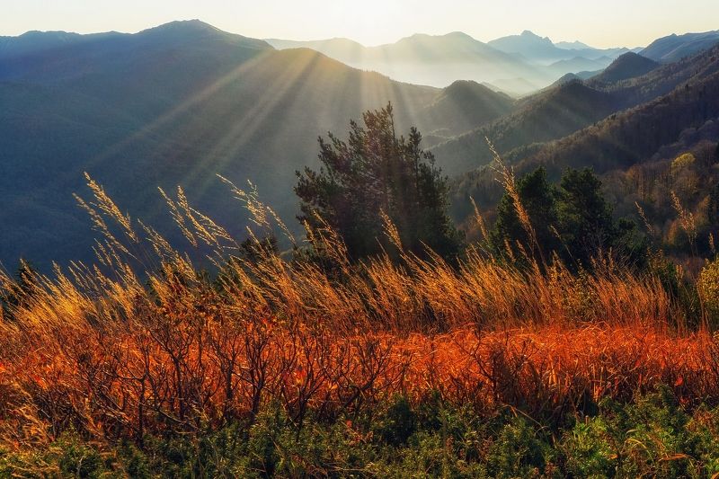 семиглавая рассвет туапсинский район В рассветных лучах фото превью