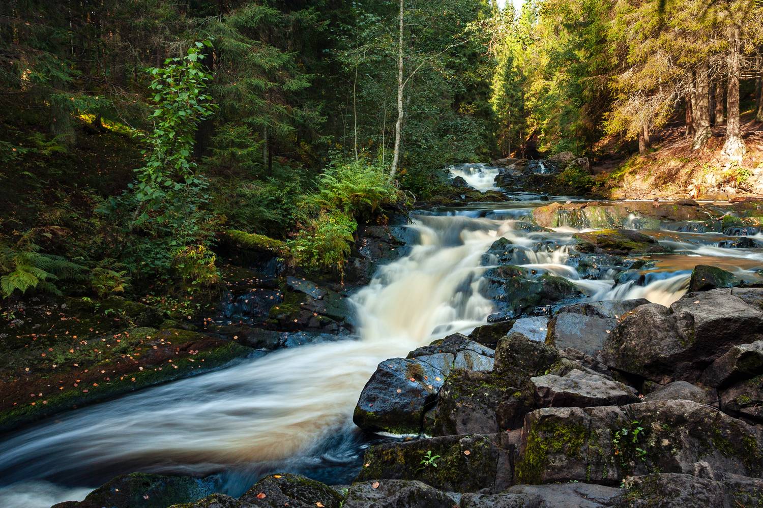 , Сергей Савельев