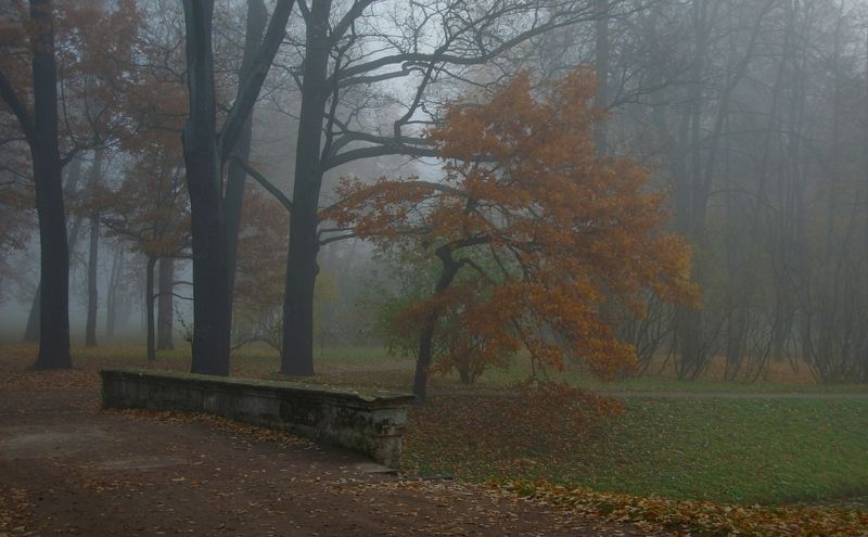 Autumn sadness фото превью