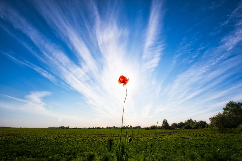 Мак фото превью