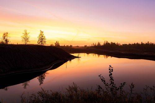 Ярким утром