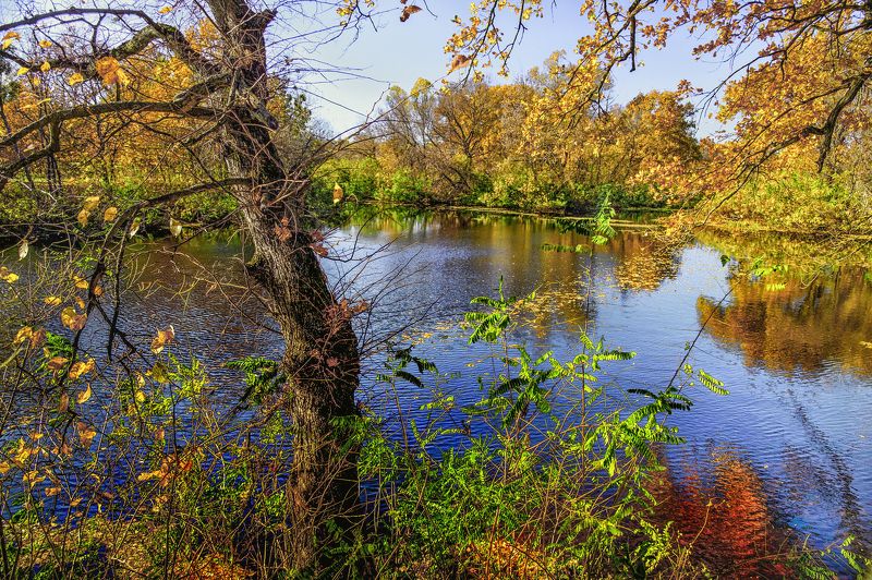 Red Fall фото превью