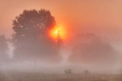 Сентябрь. Утро на заливном луге