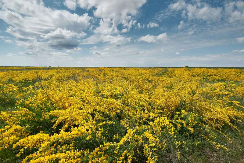 # фото превью