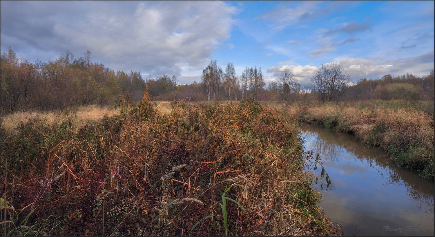 , Болеско Виктор