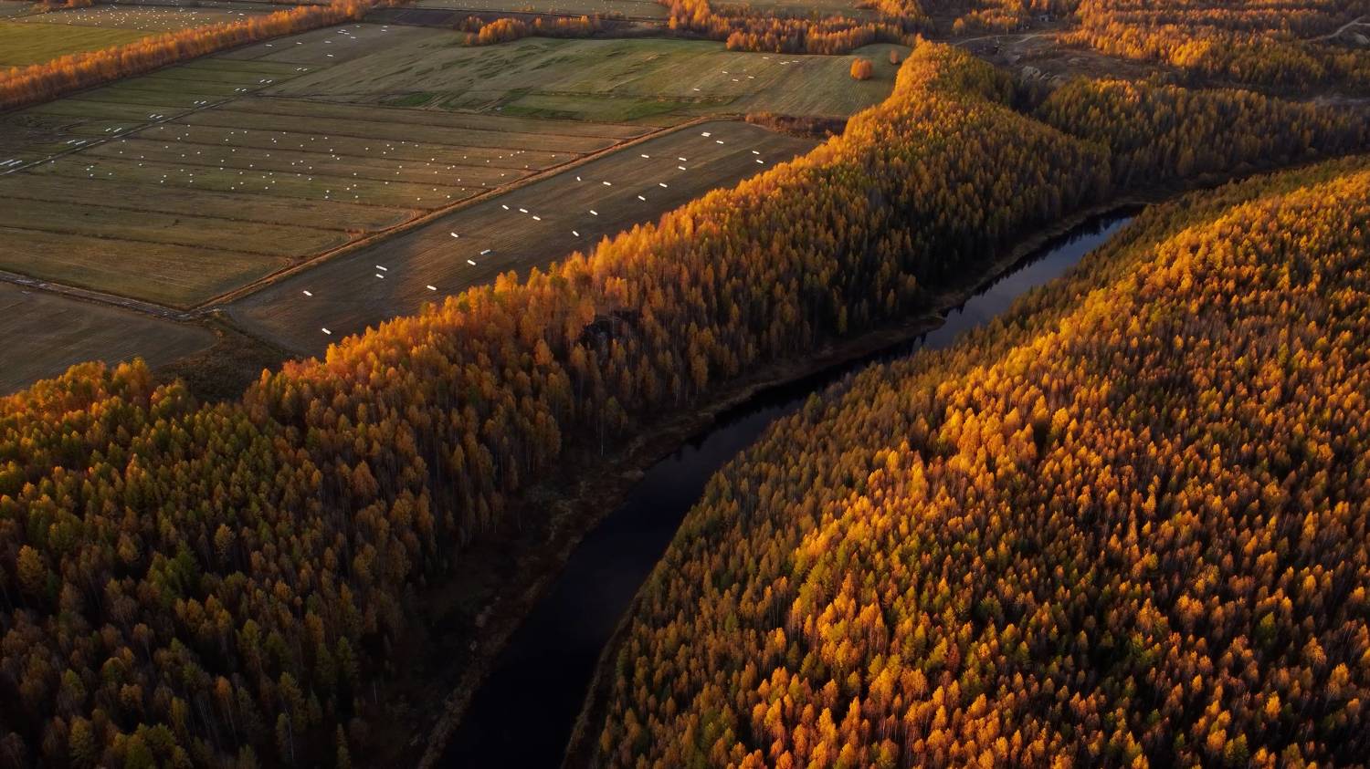 , Лисаускас Илья