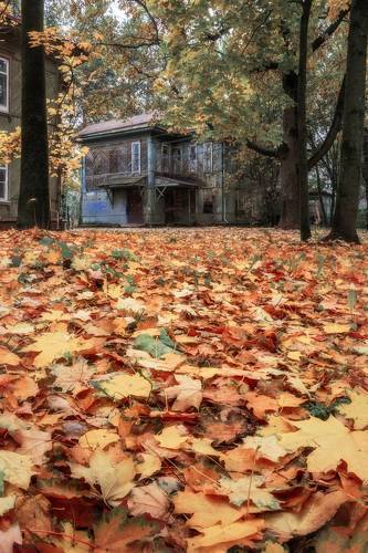 Уютная осень