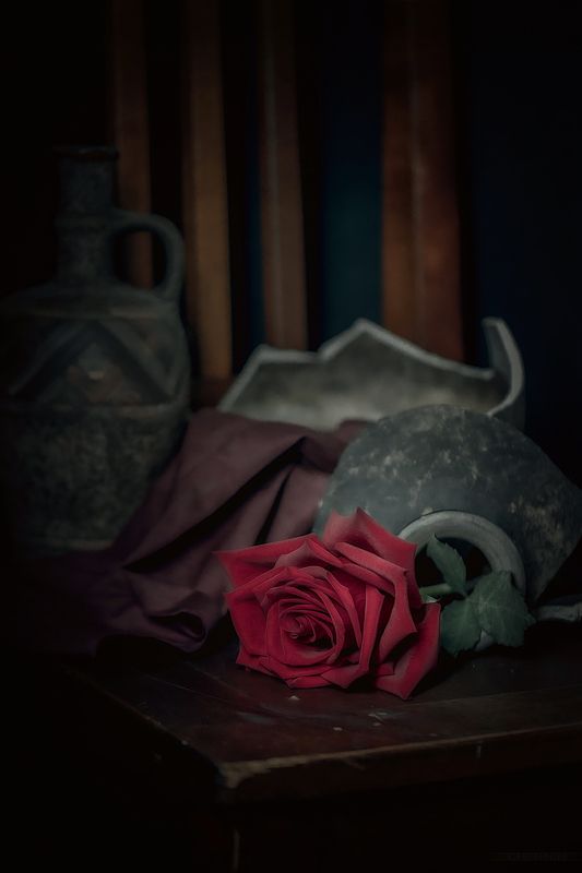 .... фото превью