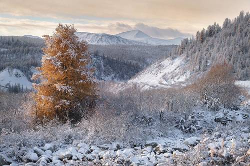 Первый снег на перевале
