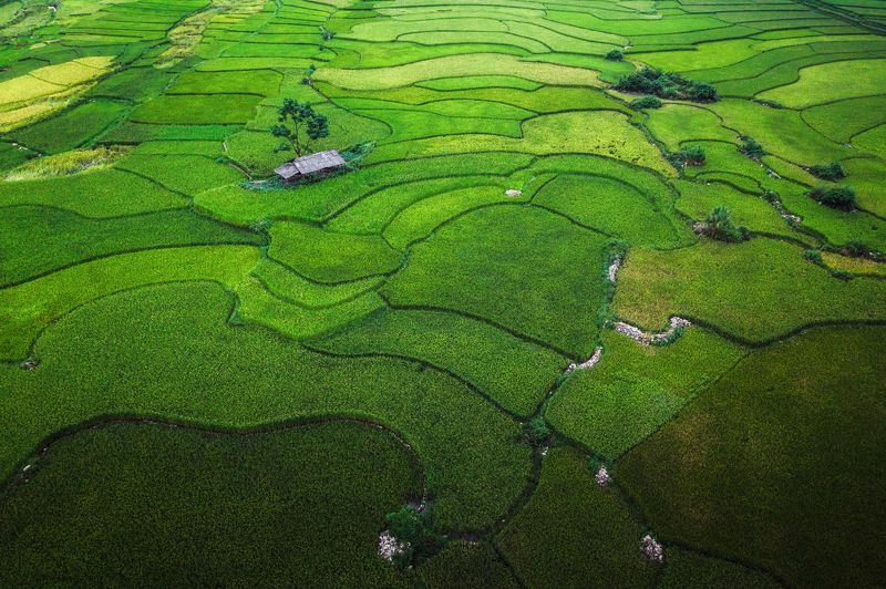 Patterns фото превью